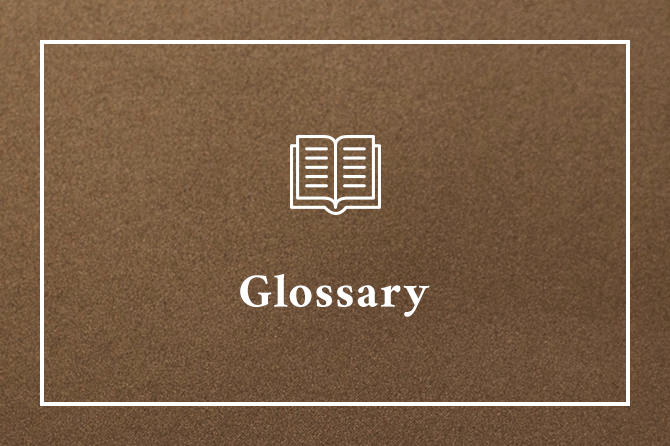 Glossary