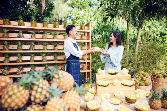 春のピーチパイン祭り