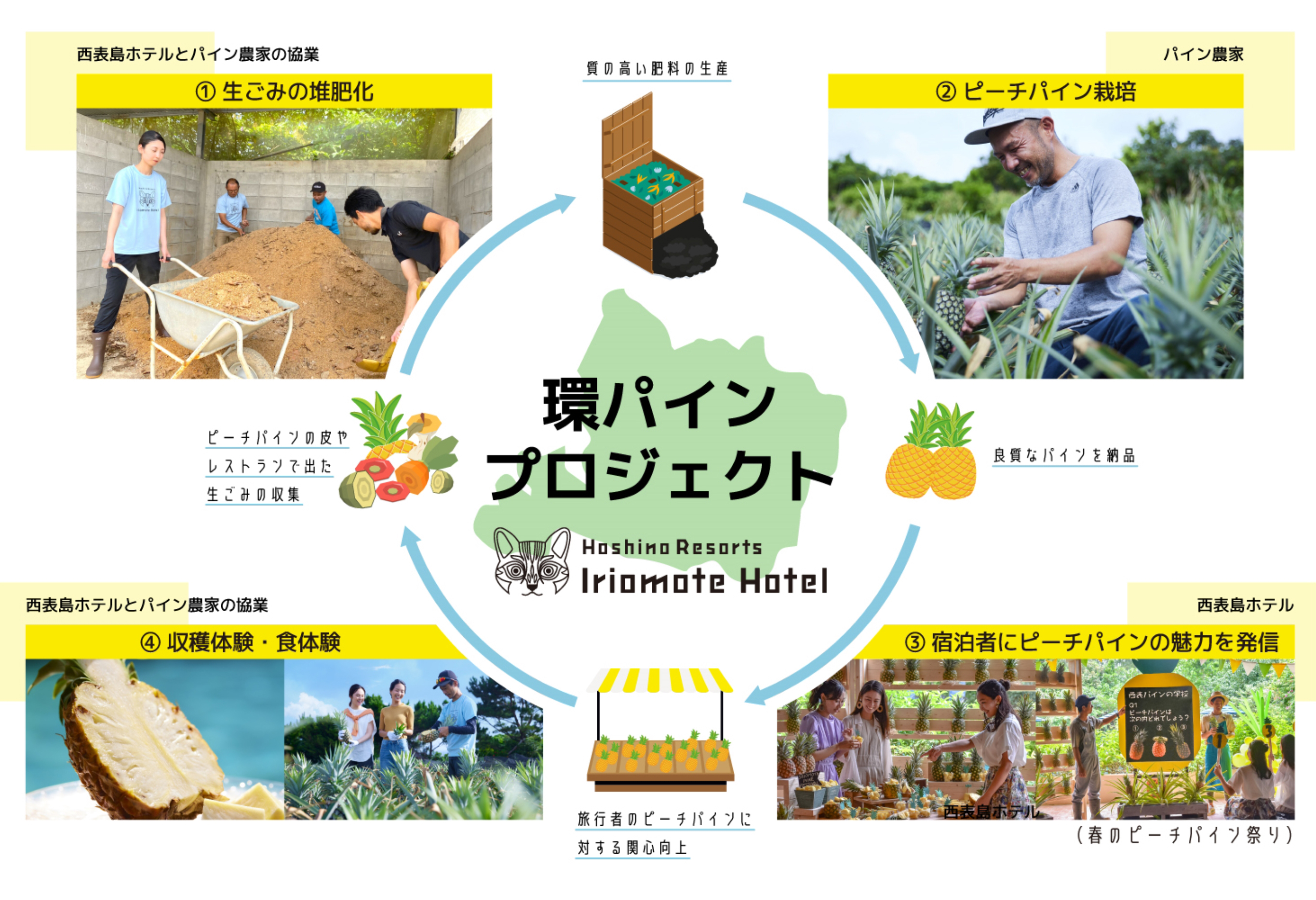 環パインプロジェクト
