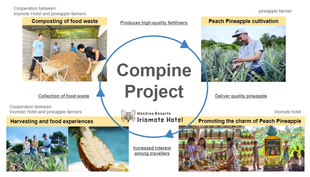 pine project